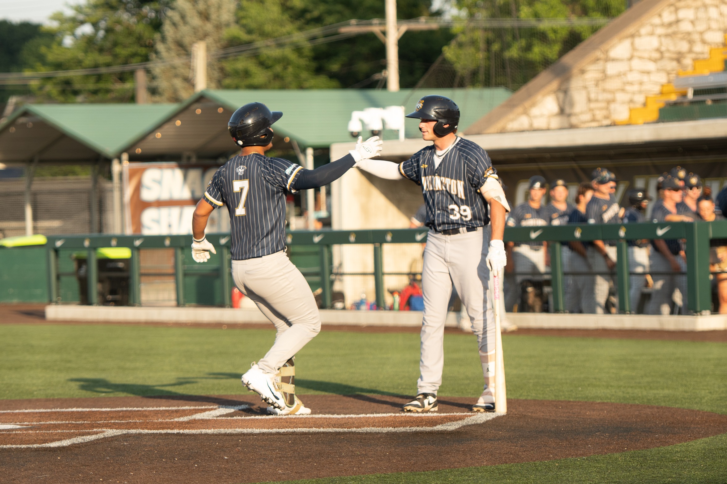 Big Innings Lead Doggy Paddlers to Win Over Bees